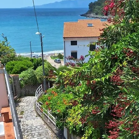 Il Nespolo *